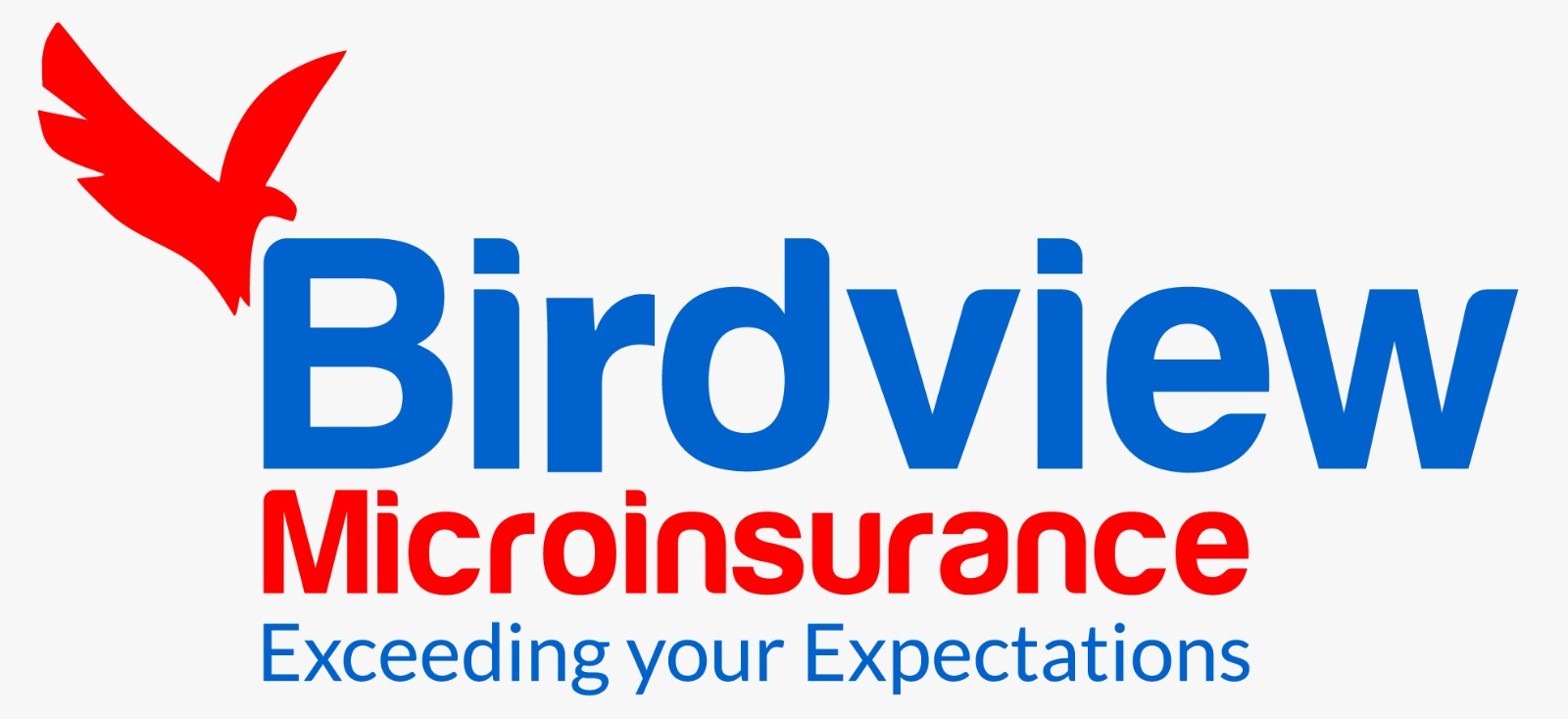 Birdview Microinsurance logo